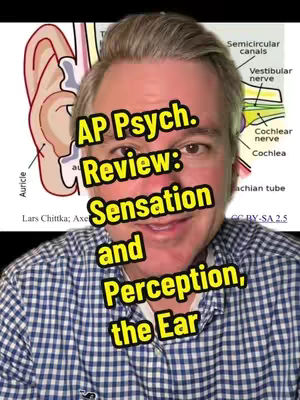 A man with short hair, wearing a blue and white checkered shirt, is the center of the image. Behind him is a diagram of an ear, in which labels are written, as well as the hook text that the video is about.
