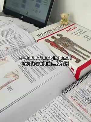 The image features an open book with annotated pages, a biology textbook, and a laptop in the background. The books are spread across a desk, and a small teddy bear is perched on the edge of a stack of books. The overall composition suggests a study environment.