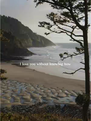 A scenic landscape featuring a beach, ocean, and a mountainous coastline under a cloudy sky. The foreground includes a sandy beach with wet areas reflecting the sky, followed by the ocean, and a tree on the right side of the image. A quote "I love you without knowing how" is written in white.