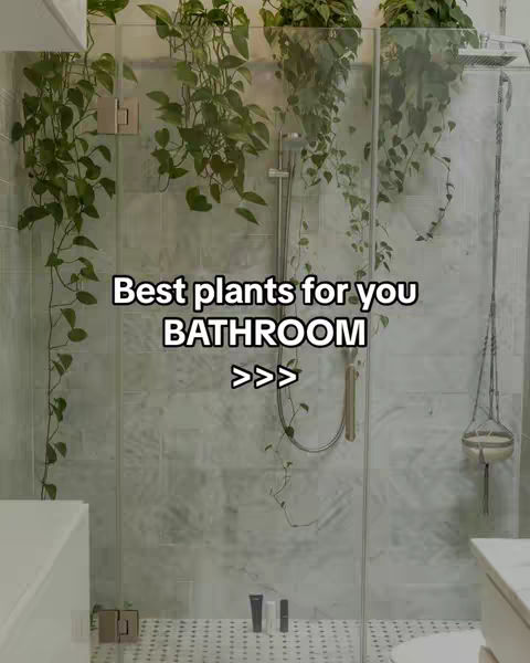 A bathroom scene with a glass-enclosed shower, white tiled walls, and cascading green plants. The plants hang from above, creating a natural, spa-like atmosphere. Text overlayed at the center reads, "Best plants for you BATHROOM" with arrows indicating the next step.