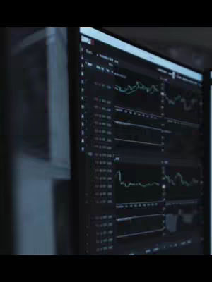 The cover image shows the screen of a computer monitor displaying a complex interface with numerous data fields, graphs, and figures, presumably related to financial analysis or trading. The layout features a dark color scheme with green, white, and orange highlights in the graphs.