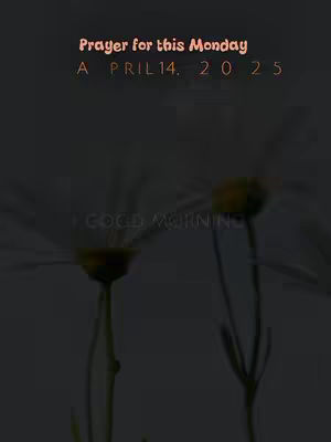 The cover image displays a dark, blurred background with two daisy-like flowers in the foreground. Text overlays mention the date. The overall composition is simple.