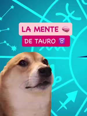 The image features a dog meme in the foreground, positioned below two rectangular text overlays. The top overlay is pink and reads 'LA MENTE' with a brain icon, while the bottom one, colored in fuchsia declares 'DE TAURO' (Taurus in Spanish) with a Taurus symbol. The background is a teal gradient filled with astrological symbols and lines. Overall, the composition is designed humorously for astrological content, with a comic theme.