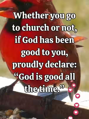The image shows a close-up of a vibrant red cardinal perched on a branch, set against a blurred, natural outdoor background. Overlayed on the bird are white text boxes containing a quote. The composition uses natural light, creating a serene and inspirational feel.