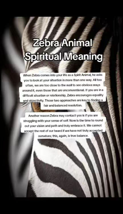 The cover image is a close-up of a zebra's black and white striped fur. Overlaid on the image are text elements describing  "Zebra Animal Spiritual Meaning". The composition is simple with the zebra pattern filling most of the frame, creating a textured background for the text.