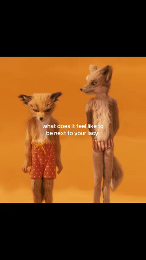 The image shows two animated fox characters from the movie 'Fantastic Mr. Fox'. They are standing against a solid orange background. The fox on the left is wearing red shorts with white polka dots and has a slightly annoyed expression. The fox on the right is wearing striped underwear and has a neutral expression.