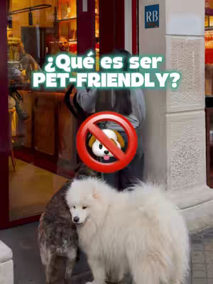 The image features a street scene with two dogs in the foreground and text overlays. A fluffy white dog stands to the right, while a brown and gray dog leans in from the left. A circular graphic with a dog inside and a red 'no' symbol is placed over the dogs. A person stands in the doorway of a shop behind a glass window.