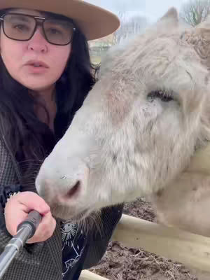 A woman in a brown hat and glasses takes a selfie with a donkey. The woman looks at the camera and the donkey is to the right. They are both in an outdoor setting.