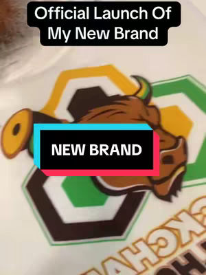 The video cover features a logo showcasing a bull with the words 'NEW BRAND' in a rectangular box. Above the logo, there is text that reads 'Official Launch Of My New Brand' in a black band. The background has hints of different shapes.