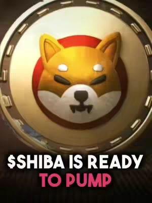 The cover image features a Shiba Inu dog face in a circular emblem with a metallic gold and red color scheme. The text overlay reads '$SHIBA IS READY TO PUMP' in bold, white text with a pink 'TO PUMP' section.
