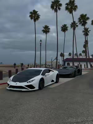 Two luxury sports cars are parked on a paved street, with a beach and palm trees in the background under a cloudy sky. The car in the foreground is white with a black hood, and the other car is black. Palm trees line the street, and a building with text on it is visible on the right side.