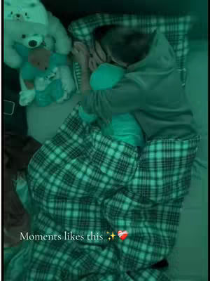 The cover shows a person in a hoodie laying on a bed under a green plaid blanket, cuddling a teal pillow. The lighting is dimmed to green, and there are stuffed animals beside the person.