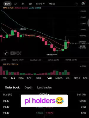 The image shows a trading chart for a cryptocurrency, likely Pi, with candles and trend lines.  A text overlay at the bottom says "pi holders" with a laughing emoji.