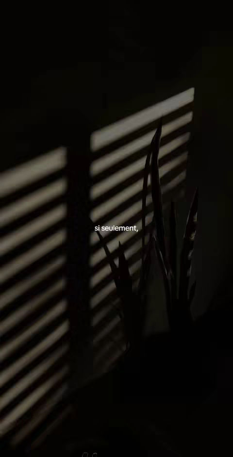 The image shows a dimly lit interior with a window letting in streaks of light from blinds. These bright lines cast shadows on the wall and highlight a plant. The text overlay adds to the atmosphere.