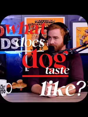 An image of a man with red hair, wearing a headset microphone, sitting at a desk. Large, bright red text overlays the man and the background behind him. The text says, "what does dog taste like?" The man is holding a microphone, looking at the camera. The background consists of movie posters and a blue wall. There is a mug to the left, with the words 'Best Father To', and a drawing of a fish.