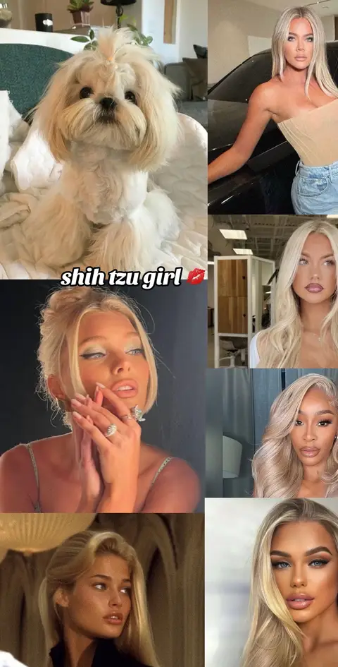 A collage of images. The top left is a shih tzu dog with a fluffy white coat, positioned in front of a blurred background. Beside of it is a blonde woman, slightly leaning in and wearing a tan top with jeans. Below the dog is a women with blonde hair. Below that are different women with different blonde hairstyles.