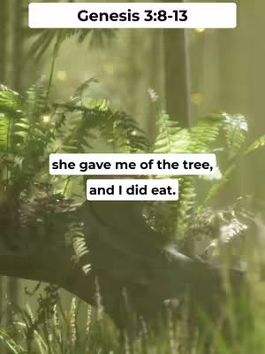 The image shows a lush green scene, possibly a forest or garden, with dense foliage dominating the foreground. Light filters through the leaves, creating a soft, diffused lighting effect and a bokeh effect. Overlayed onto this natural background is text in a white box, providing a quote.