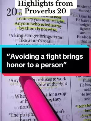 The cover image shows an open page of a Bible with the title "Highlights from Proverbs 20." A black rectangle with white text that reads "Avoiding a fight brings honor to a person" is overlayed on the bottom half of a verse. A pink highlighter is pointing to the verse. The top part showcases highlighted text and numbers in the bible.