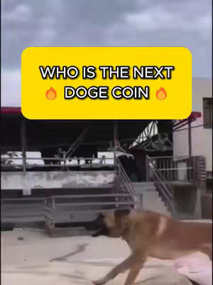 The cover image shows a dog running from right to left in a concrete area. A large, yellow rectangular box with rounded corners at the top displays white text: "WHO IS THE NEXT DOGE COIN" and two orange flame emojis on either side of the text. Stairs and a building are in the background.