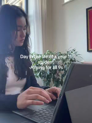 A young woman working on a laptop. She is seated in front of a window, with natural light illuminating her face. A potted plant is to her right, and a framed picture hangs in the background of the scene.
