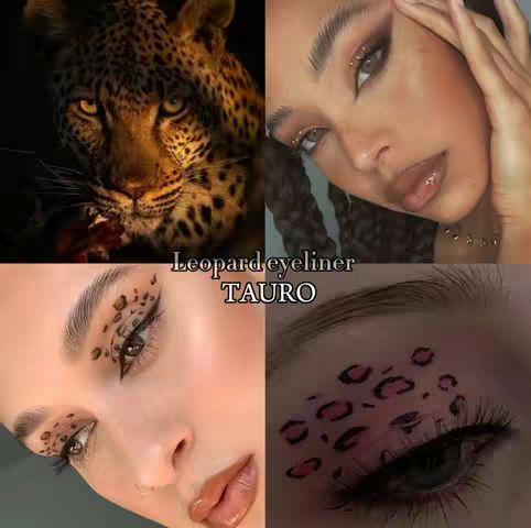 The cover image is divided into four quadrants. The top left shows a close-up of a leopard's face. To the top right and lower left show close-ups of a person's face with creative makeup, with a leopard-inspired eyeliner design. The lower right quadrant showcases the eye of a person with the same themed eyeliner, which also features dots on the eyebrows, creating a unique design. The images use warm colors, with the main focus on makeup.