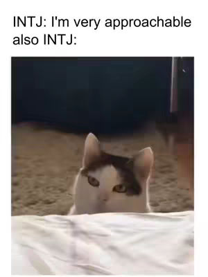 The cover image is a meme featuring a cat. The text overlay contrasts the personality trait 'approachable' with a cat exhibiting a standoffish behavior. The cat peeks over a white surface.