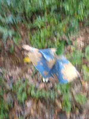 An out-of-focus image featuring a crumpled blue and beige object, possibly fabric, lying on a forest floor covered in leaves and greenery. The colors are muted with a slight blur.