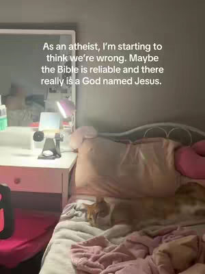 A bedroom scene with a bed, desk, mirror, and a cat lying on the bed. The bed has pink and white bedding. The desk has items on it, including a lamp. A mirror is on the wall in the background. The scene is brightly lit, with the cat as the focal point.