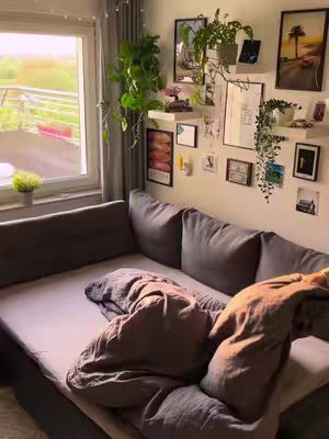 An interior shot showcases a bed in a softly lit room. The bed, covered with a gray and brown comforter, is the central focus. The wall behind the bed is adorned with framed pictures and plants on shelves, adding a touch of greenery and personal decor. Sunlight streams in from a window to the left, suggesting a balcony and illuminating the scene with a warm glow