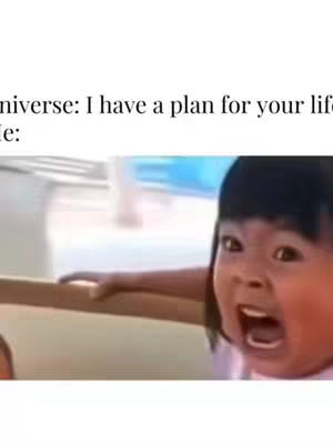 The image shows a humorous meme format. The top part of the image contains the text "universe: I have a plan for your life." The lower part of the image contains a close-up of a child's face. The child has dark hair, a wide-open mouth, and a shocked or scared expression, enhancing the meme's humor.