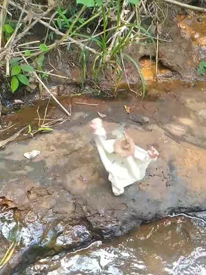 An overhead shot of a natural scene. A shallow stream occupies the lower right, flowing over a dark, textured surface. The foreground shows a figure, dressed in a white garment and straw hat, positioned in the water. Vegetation, including green plants and dry stems, frames the top edge.