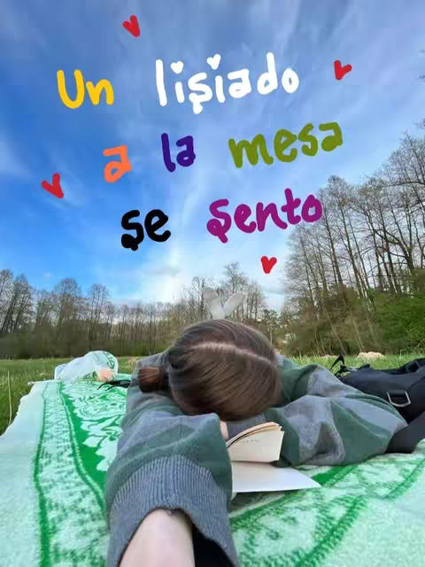 The cover image shows a person lying on a green and white blanket with their head resting on their arms, with a book open in front of them. Above them is a bright blue sky with colorful text and heart shapes.