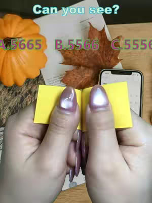 The cover image is a close-up shot of a person's hands holding two small yellow sticky notes that appear to be a book. In the background, there is a pumpkin, a leaf, and a smartphone. The text overlay says, "Can you see?"