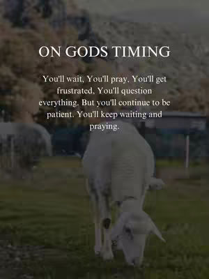 The cover image is a vertically oriented graphic with text overlayed on a natural outdoor scene. The backdrop is a blurred landscape of green grass and possibly trees, suggesting a field or meadow. Silhouetted figures, likely sheep, graze in the grass and are in soft focus. The text, which is the primary focus, is centered at the top and is in a classic, easy-to-read font, conveying a spiritual or inspirational theme.