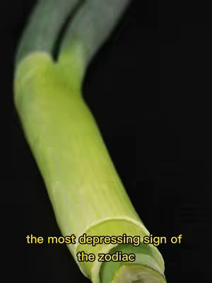 The image shows a section of a green onion stem against a solid black background. A yellow text overlay reads, 'the most depressing sign of the zodiac'. The onion is cut to reveal the inner rings.