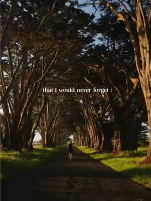 A pathway through a tree tunnel with a person walking away from the camera. The path is asphalt, bordered by green grass and tall trees that form an arch overhead. The sky is visible at the end of the tunnel.