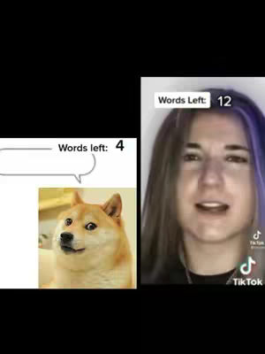 The cover image is a split screen. On the left is a still of the Doge meme, with its characteristic Shiba Inu dog. A speech bubble from the meme says 'Words left: 4.' On the right, a young woman with long, dark hair and a light complexion is on camera, possibly speaking.