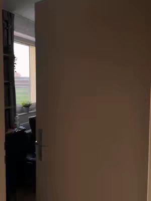 The cover image shows a partially open door revealing part of a room. A window, a glimpse of an interior space is partially shown, with some plants and curtains visible. The door itself takes up the majority of the frame, with a handle.