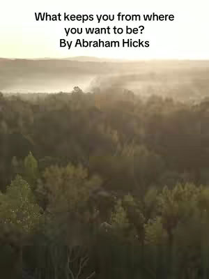 An aerial view of a forest, with a layer of mist or fog. The image has text overlaid at the top, with text in white font. The lighting suggests either sunrise or sunset.