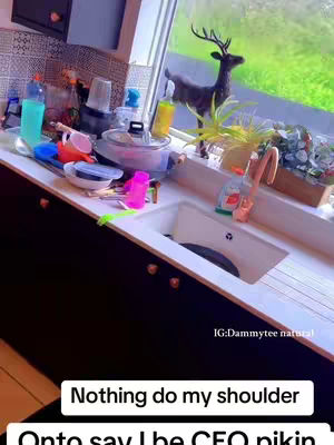 A kitchen with a cluttered counter and sink area. A window with a view of green foliage and a deer figurine on the windowsill. There are various cleaning supplies and dishes scattered around, giving a lived-in feel.