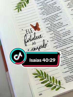 The image shows an open Bible with handwritten text and decorations. The text overlay says, "ELE fortalece AO cansado" (He strengthens the weary).  A TikTok logo is superimposed on the bottom with "Isaías 40:29".  Butterflies and leaf-branch stickers decorate the pages.