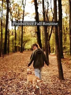 A woman walks away from the camera with a dog on a path in the woods during the fall with colorful foliage on the ground. The image has a soft, warm color palette.