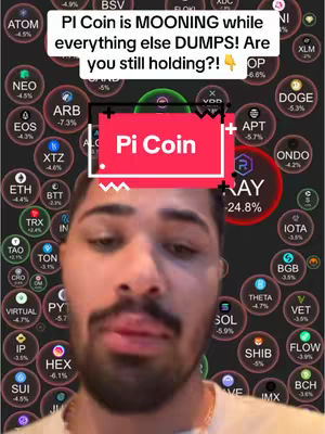 The cover image features a man in the foreground with a cryptocurrency price chart in the background. The chart is composed of circular elements, each representing a different cryptocurrency and displaying its current price change percentage. The man is facing the camera and talking, with overlaid text that reads, 'PI Coin is MOONING while everything else DUMPS! Are you still holding?!' A large rectangle highlights 'Pi Coin' in red.