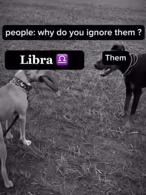 A black and white image shows two dogs in a grassy area. One dog, a light-colored pit bull, is facing left with its tongue out. The other dog, a black dog, is facing towards it. Text overlays read 'people: why do you ignore them?' above two text boxes that read Libra, with the Libra symbol, and them.