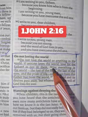 The cover image shows an open Bible page with text and annotations. A red rectangular sticker with the text "1 JOHN 2:16" is overlaid on the page. A pen is present, highlighting specific lines of text.