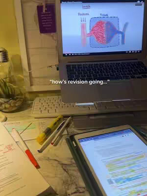 A desk setup is shown with a laptop displaying a diagram, a tablet with a study document, papers, pens, and a glass container with a plant inside. The overall composition conveys a study or work environment.