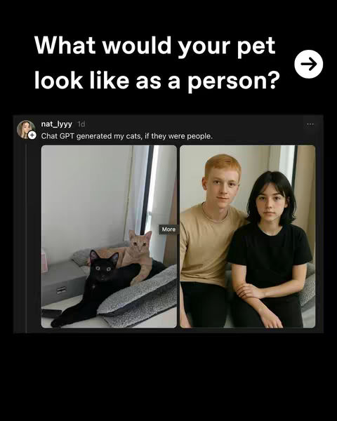 The cover image is a split screen layout. The left side contains a photo of two cats lying on a bed. The right side displays two people, a man with red hair and a woman with dark hair, seated next to each other. Above the split picture, the text reads, 'What would your pet look like as a person?' in white font on a black background. A white arrow icon is placed on the upper right corner.