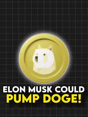 The image showcases a gold coin with the Dogecoin symbol, set against a dark, grid-patterned background. The coin is central and slightly backlit, with the doge icon clearly visible. Below the coin, bold white text against a yellow background reads, 'ELON MUSK COULD PUMP DOGE!'