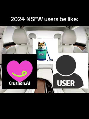 A meme image with text overlayed on a scene from inside a car. The background shows car interior with seats. In the middle, there are four images: logo with a pink heart and green curves, a dog inside a bucket with a mop, and a user icon. The top text says 2024 NSFW users be like: