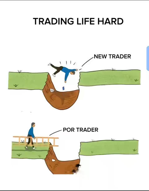 An illustrated meme showing two scenarios: "New Trader" falling into a chasm while a document, presumably representing money, falls out, and "Pro Trader" safely crossing the chasm via a bridge. The style is cartoonish, with green grass, brown earth, and blue-clothed stick figures against a white background.